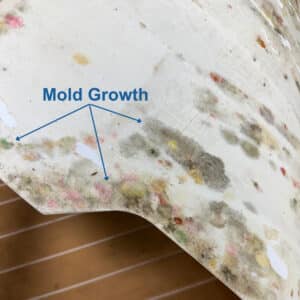 Mold Growth in EVA Foam Flooring Underside